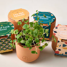 Load image into Gallery viewer, Tiny Terracotta Grow Kit: Live Well Lavender
