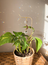 Load image into Gallery viewer, Plant Stake | Suncatcher + Moon Charm | Houseplant Accessory
