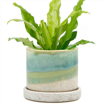 Load image into Gallery viewer, Minute Handmade Ceramic Planter Indoors Pot With Saucer: Green Cement / 5&quot;
