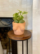 Load image into Gallery viewer, LARGE MILADY PLANTER: Multi-Colored
