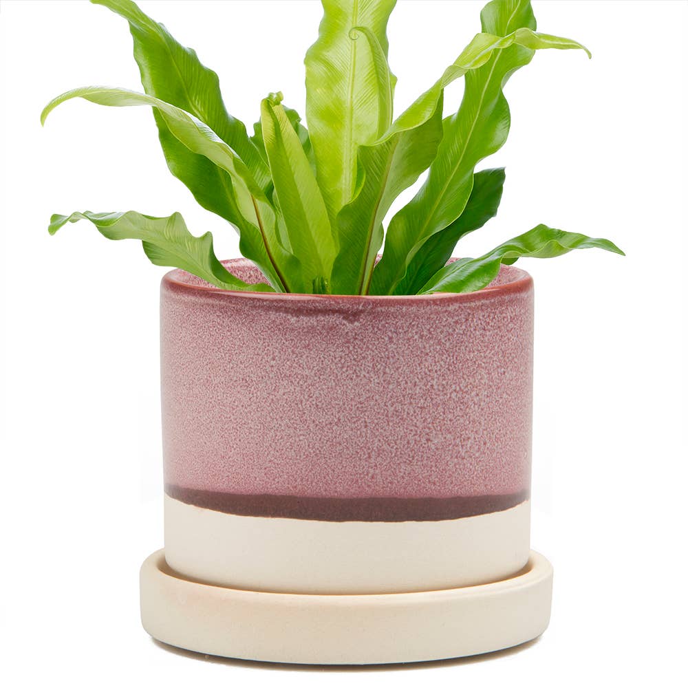 Minute Handmade Ceramic Planter Indoors Pot With Saucer: Burgundy / 5