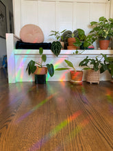 Load image into Gallery viewer, Moth Suncatcher Window Decal
