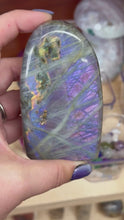Load and play video in Gallery viewer, Labradorite
