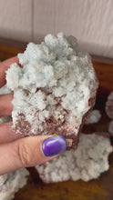 Load and play video in Gallery viewer, Celestite in Aragonite
