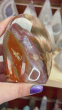 Load and play video in Gallery viewer, Petrified Wood
