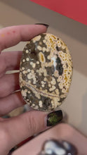 Load and play video in Gallery viewer, Ocean Jasper (8th Vein) Palm Stone

