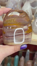 Load and play video in Gallery viewer, Petrified Wood
