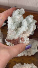 Load and play video in Gallery viewer, Celestite in Aragonite
