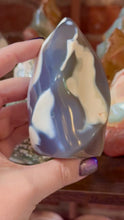 Load and play video in Gallery viewer, Orca Agate Flame
