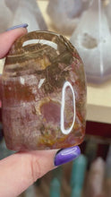Load and play video in Gallery viewer, Petrified Wood
