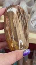Load and play video in Gallery viewer, Petrified Wood
