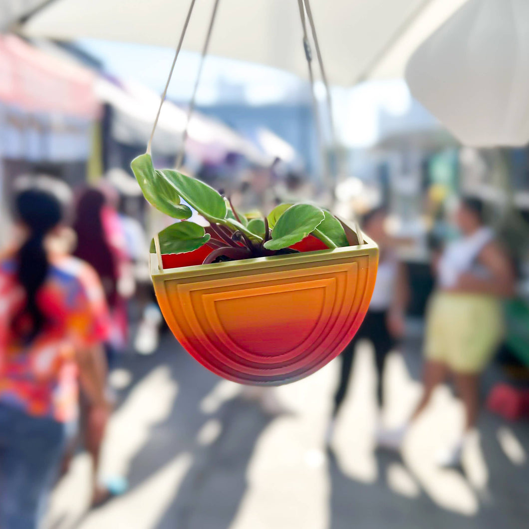 Indoor Hanging Planters, 3D Printed Planter, Nordic Rainbow Wall Planter, Unique Planters, Modern Succulent Planter, Minimalist Planter
