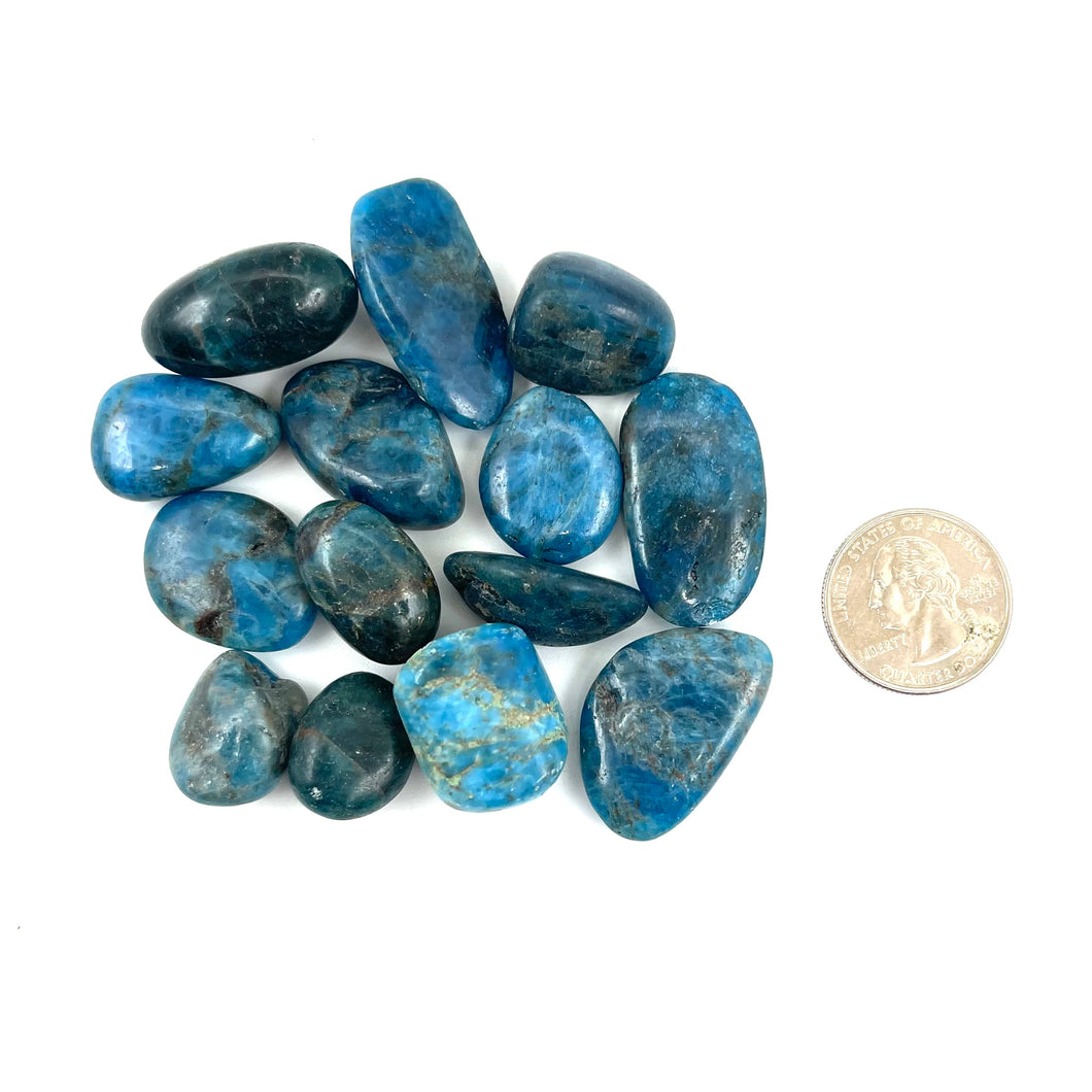 Apatite SMALL Tumbled Stones