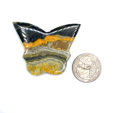 Load image into Gallery viewer, ONE Bumblebee Jasper Butterfly

