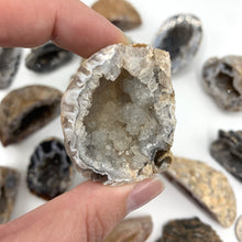Load image into Gallery viewer, Ocos Geode
