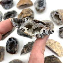 Load image into Gallery viewer, Ocos Geode
