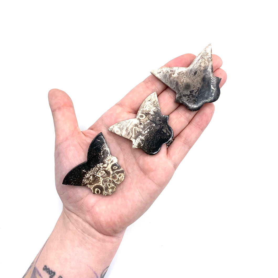 ONE Palmroot (Petrified Palm Tree) Butterfly