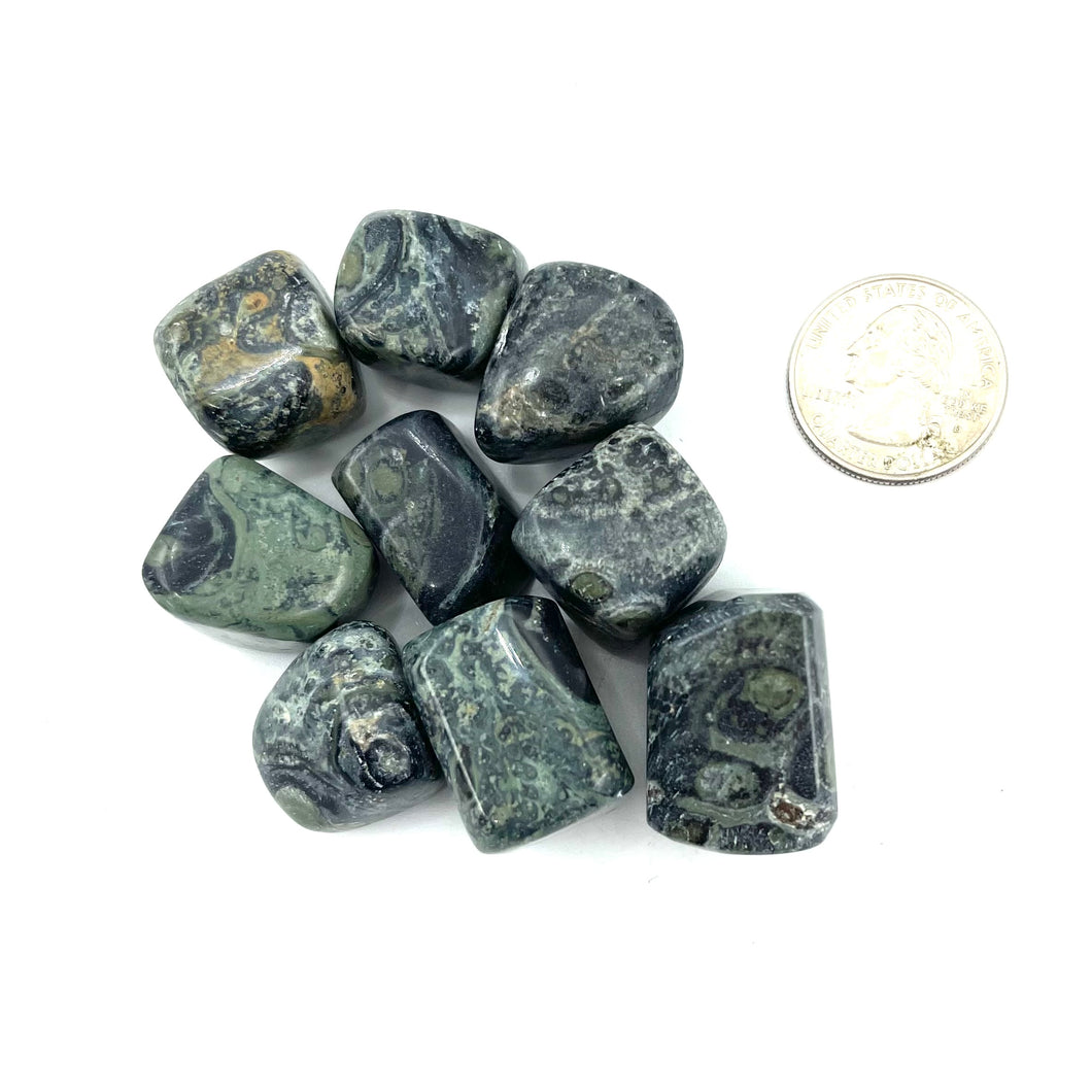 Kambaba Tumbled Stones